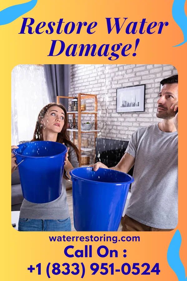 water restoration Lightning Water Removal Company Lexington
