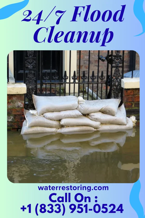 24/7 Flood Cleanup in Lexington, NC