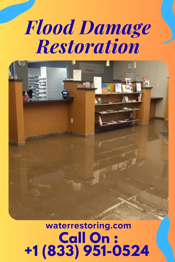 Flood Damage Restoration in Lexington, NC