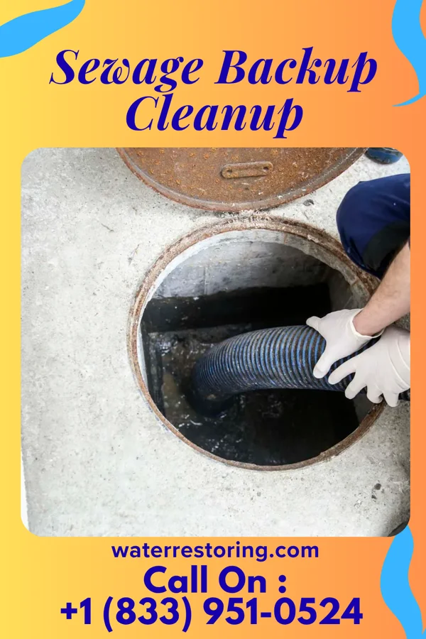 Sewage Backup Cleanup in Lexington, NC